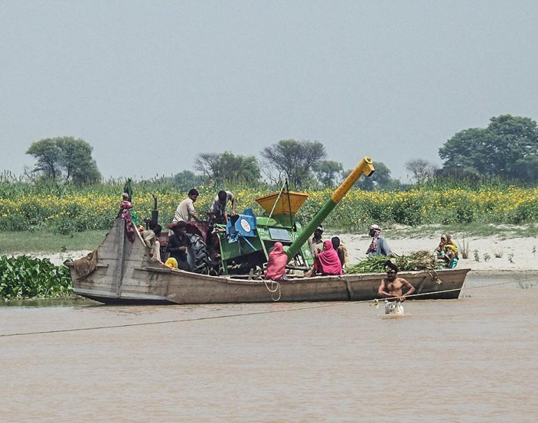 Pakistani people harvesting crops