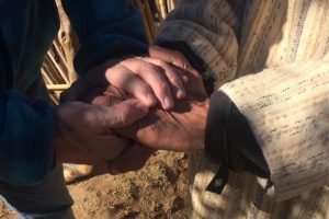 A man and woman each holding both of the others' hands